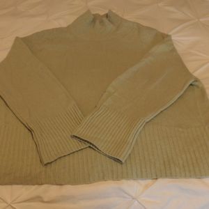 Everlane Sage Green Turtleneck Sweater